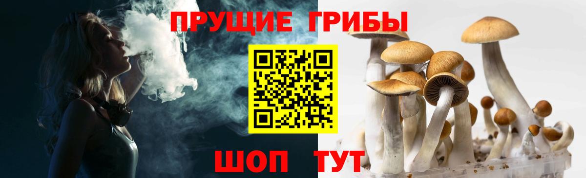 Псилоцибиновые грибы прущие грибы Будённовск