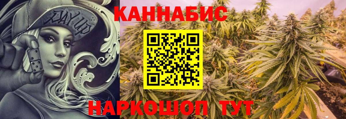 Шишки марихуана планчик  Бошки Шишки White Widow  Будённовск  Конопля план  Вход с VPN 